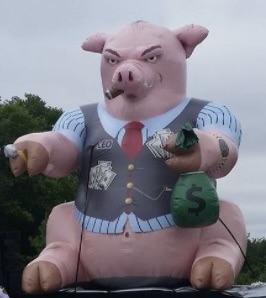 Greedy Pig Float
